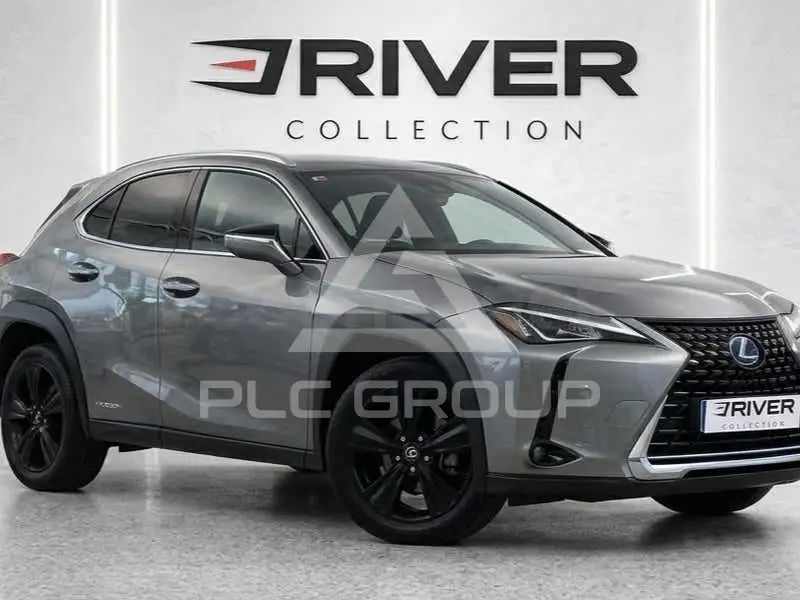 2021 Lexus UX