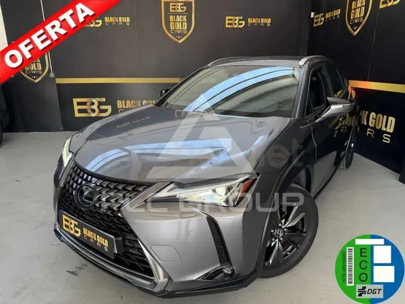 2021 Lexus UX