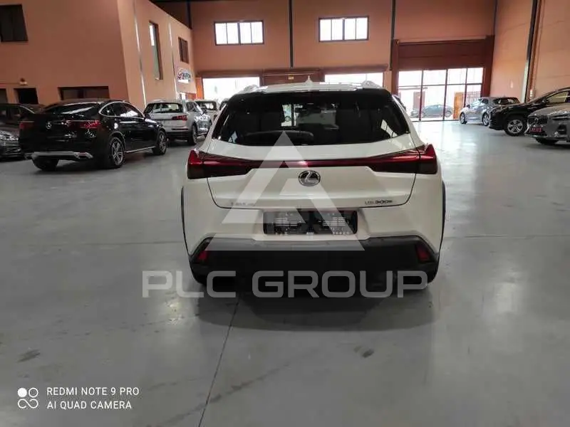 2021 Lexus UX