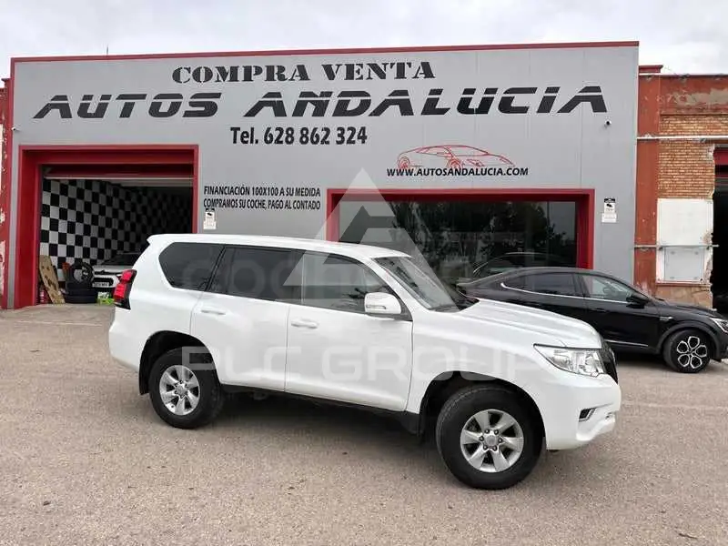 2021 Toyota LAND CRUISER