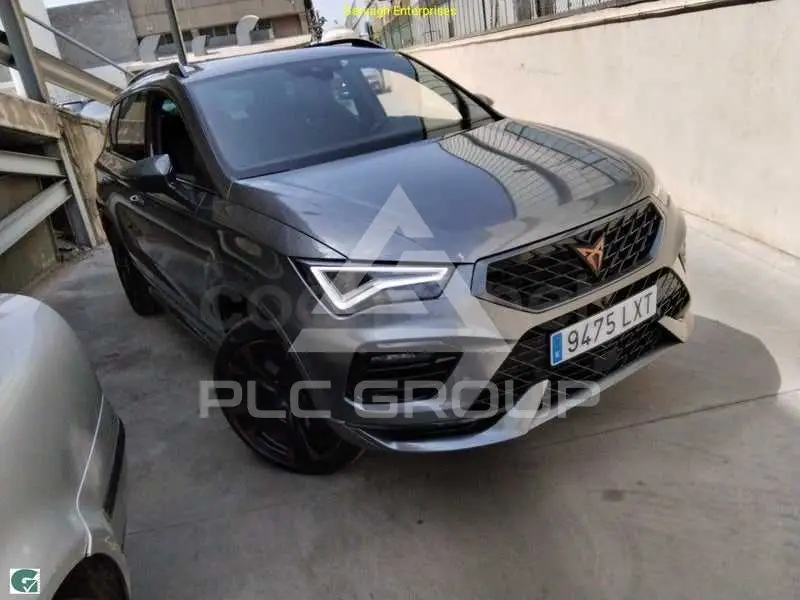 2022 Cupra Other