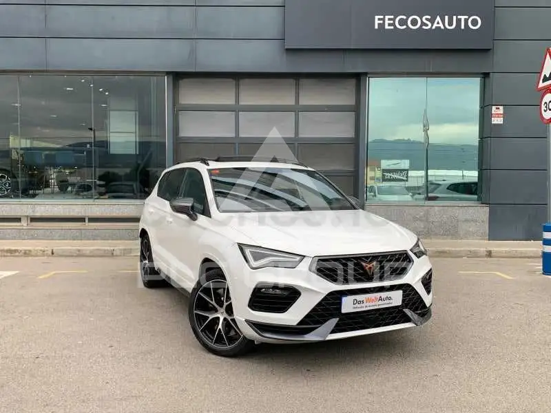 2022 Cupra Other