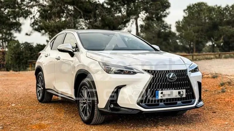 2022 Lexus NX