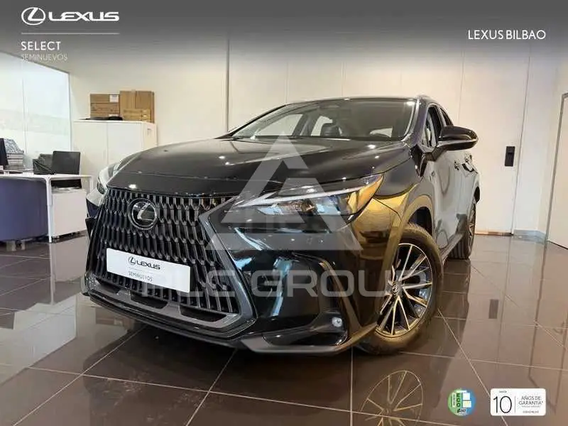 2022 Lexus NX