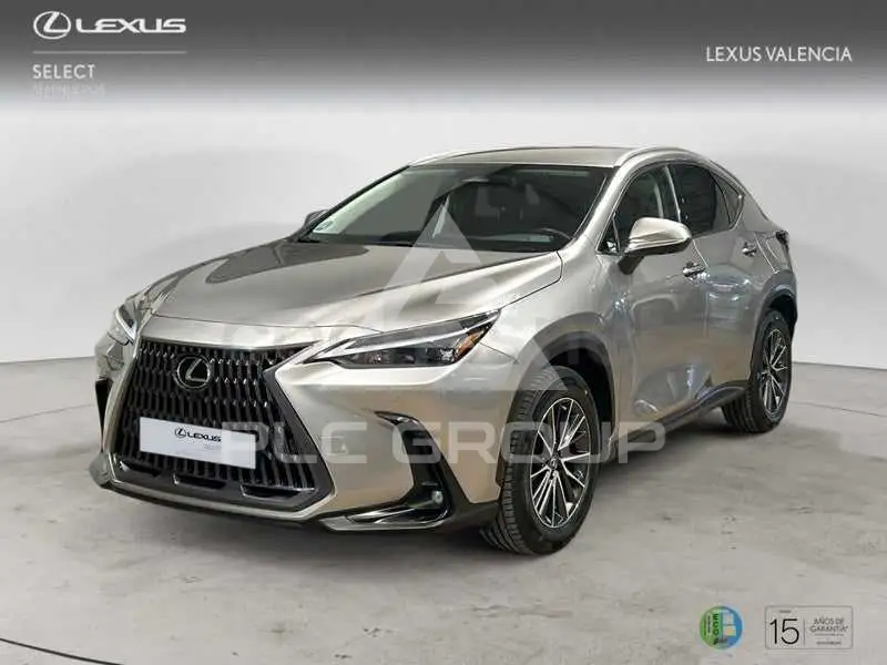 2022 Lexus NX