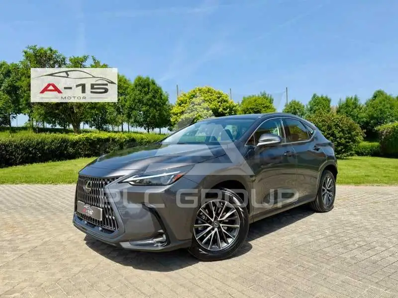 2022 Lexus NX