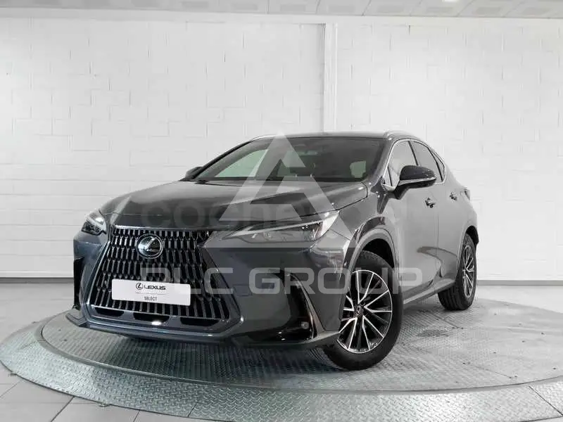 2022 Lexus NX