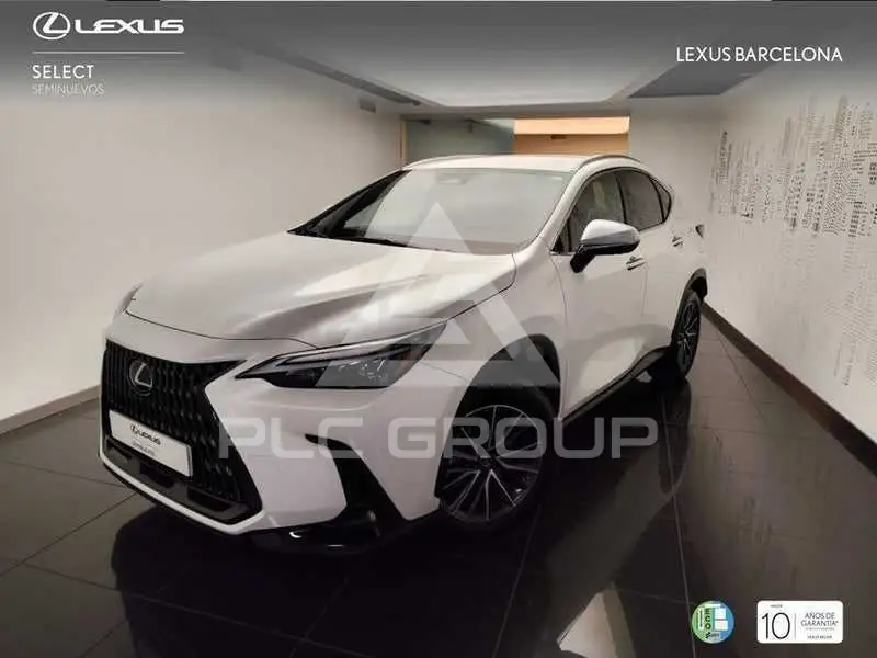 2022 Lexus NX