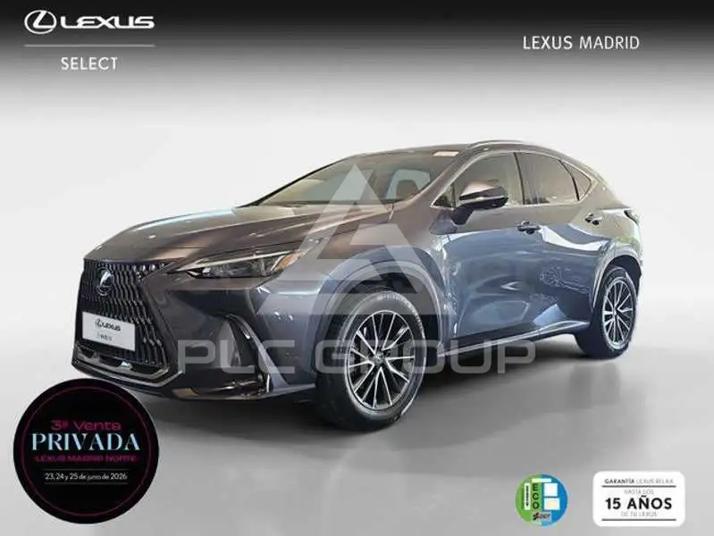 2022 Lexus NX