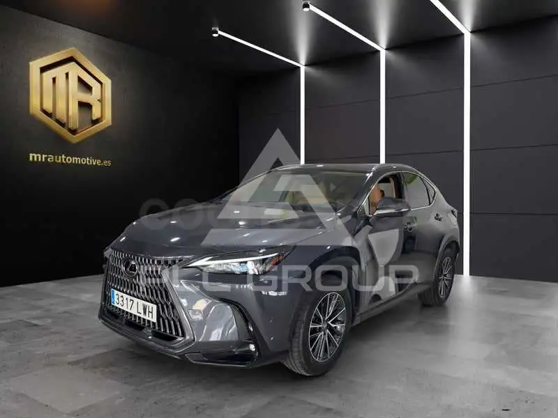 2022 Lexus NX