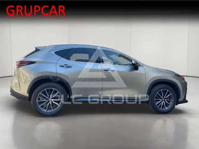 2022 Lexus NX