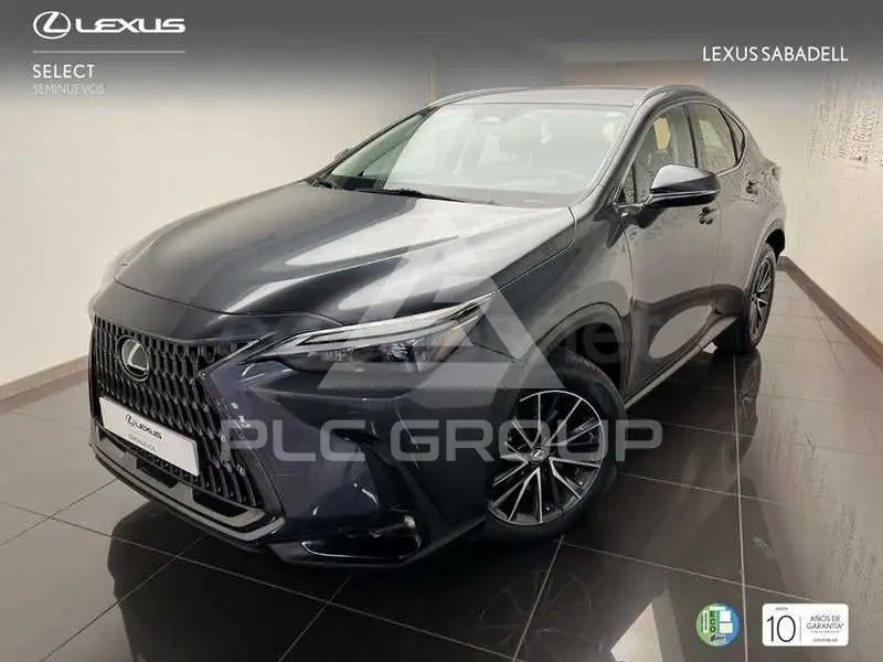 2022 Lexus NX
