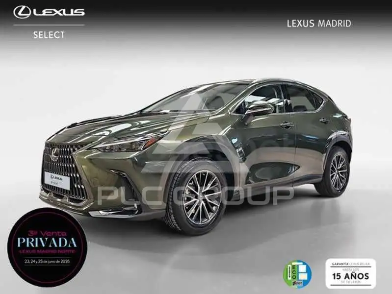 2022 Lexus NX