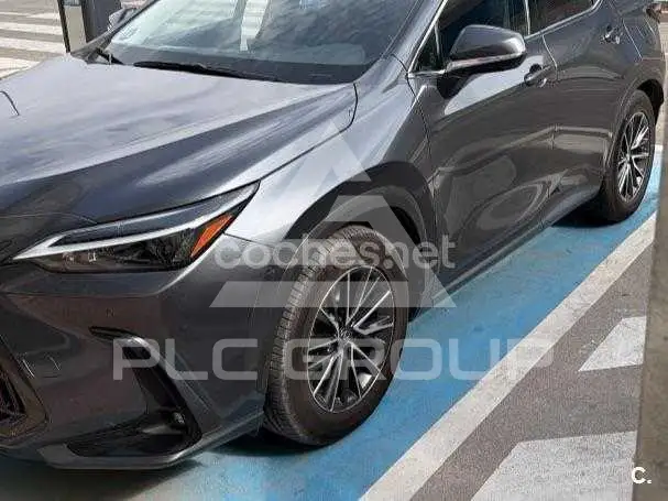 2022 Lexus NX
