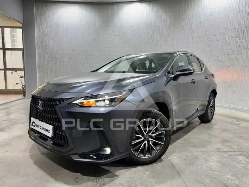 2022 Lexus NX
