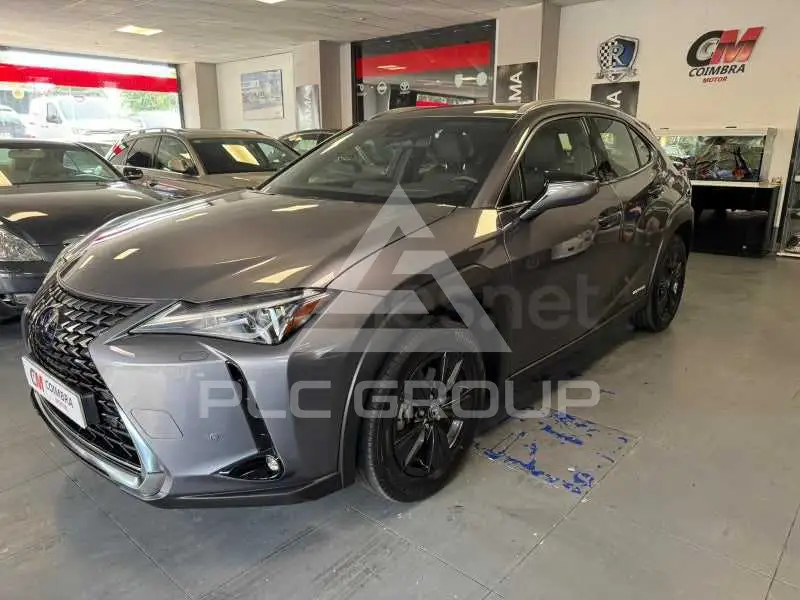 2022 Lexus UX