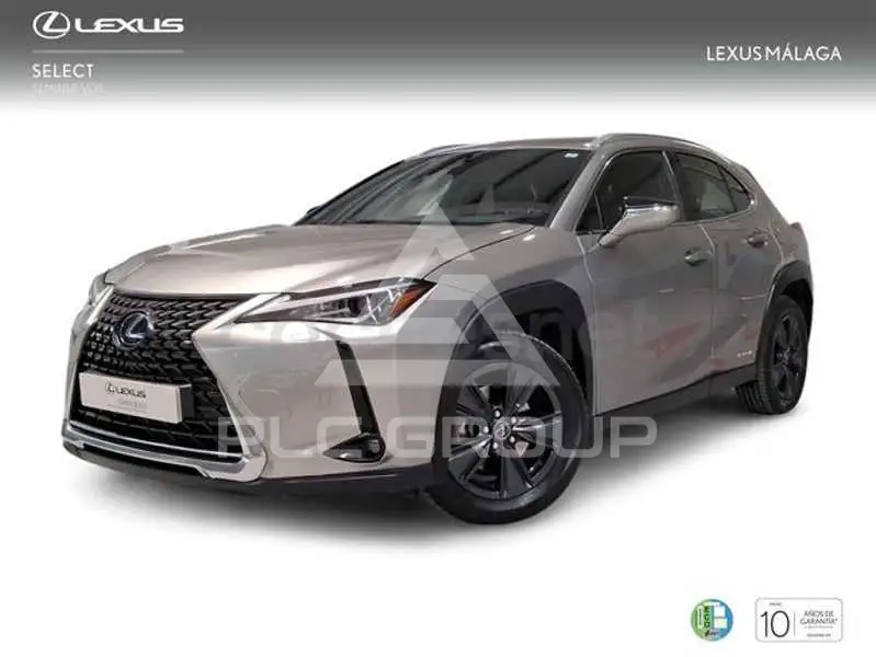 2022 Lexus UX