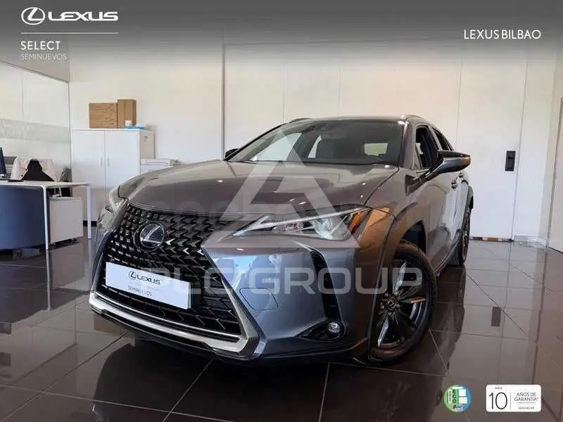 2022 Lexus UX