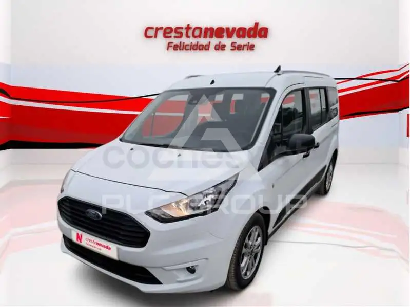 2022 Ford Tourneo