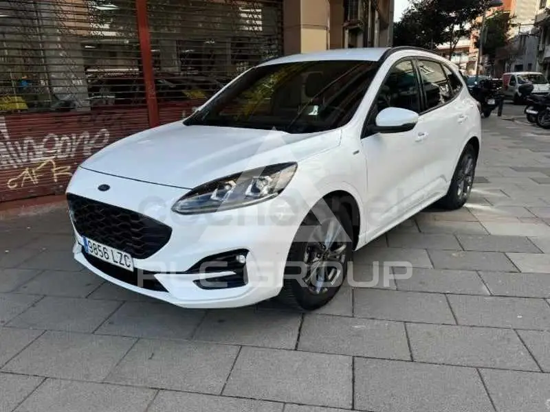 2022 Ford Kuga