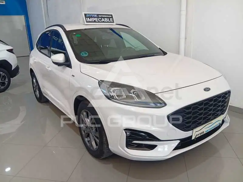 2022 Ford Kuga