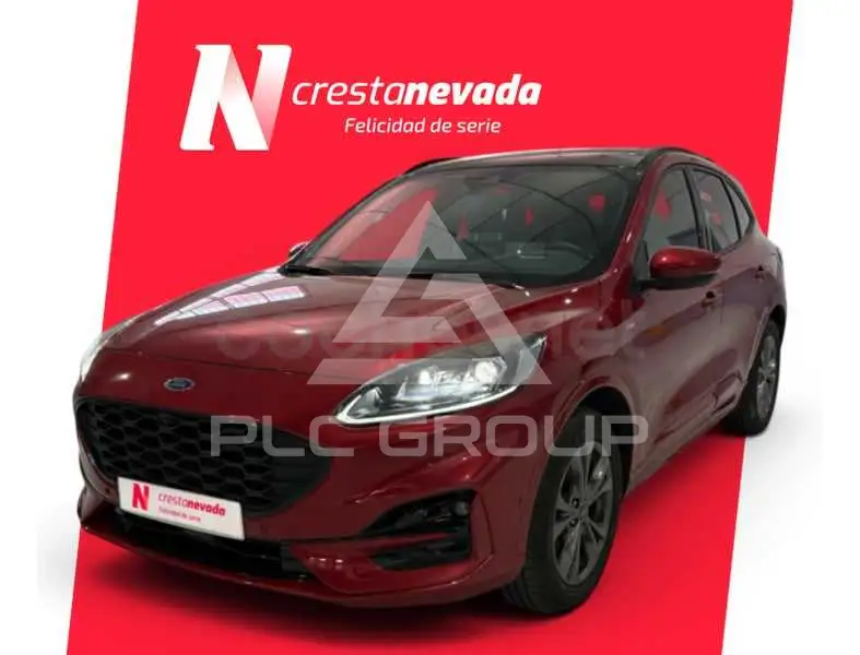 2022 Ford Kuga