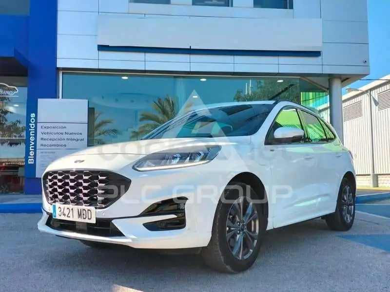 2022 Ford Kuga