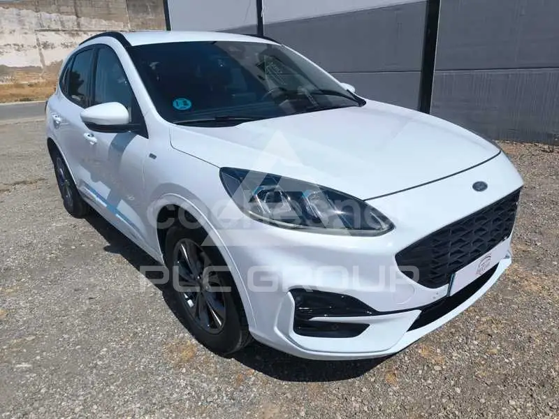 2022 Ford Kuga