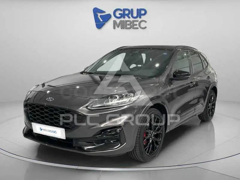 2022 Ford Kuga