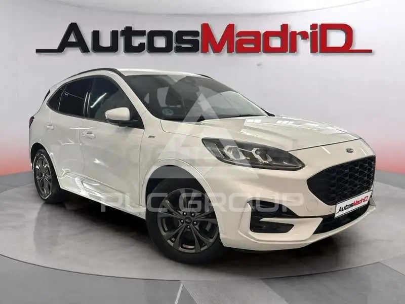 2022 Ford Kuga