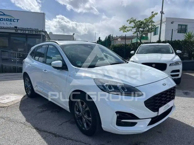 2022 Ford Kuga