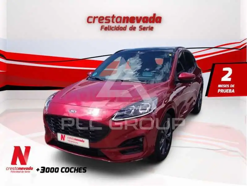2022 Ford Kuga