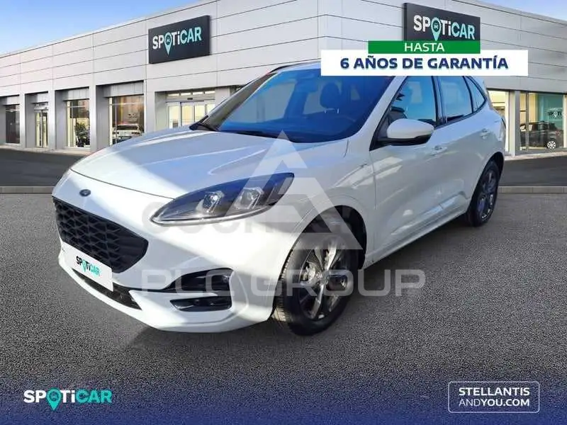 2022 Ford Kuga