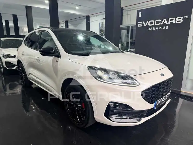2022 Ford Kuga