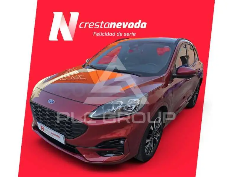 2022 Ford Kuga