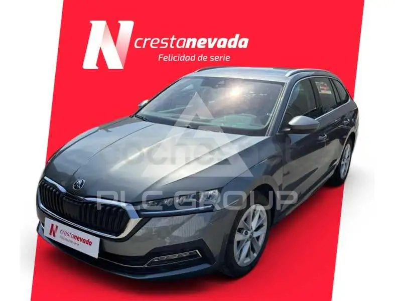 2023 Skoda Octavia