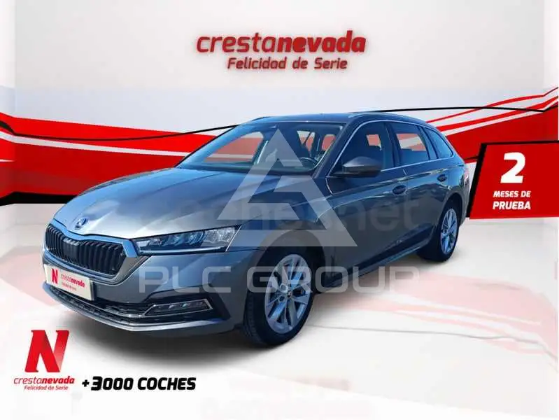 2023 Skoda Octavia