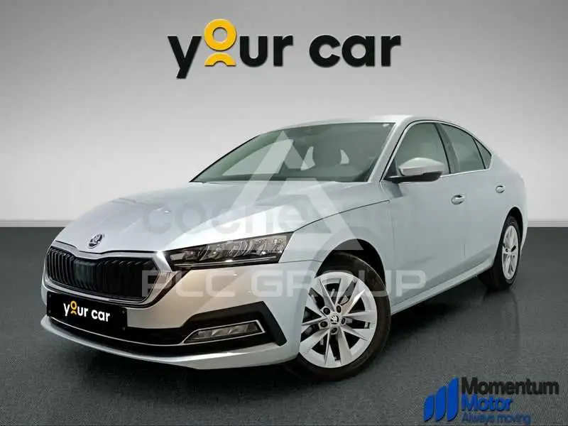 2023 Skoda Octavia
