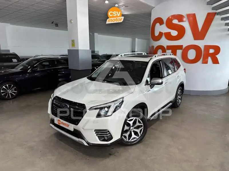 2023 Subaru Forester