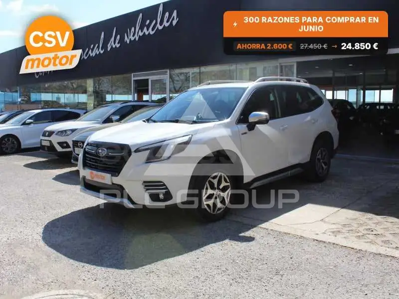 2023 Subaru Forester