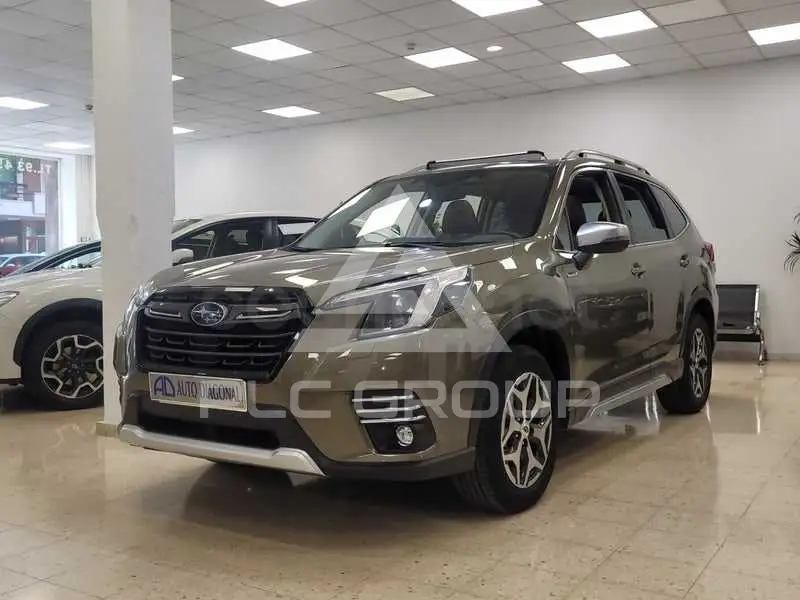 2023 Subaru Forester