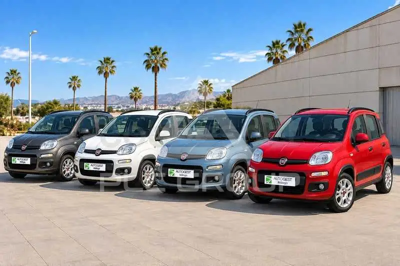 2023 Fiat Panda