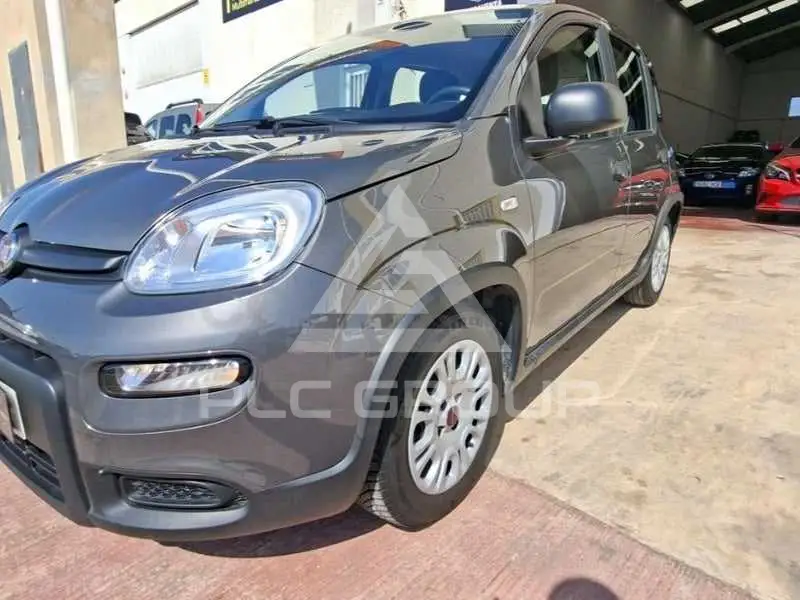 2023 Fiat Panda