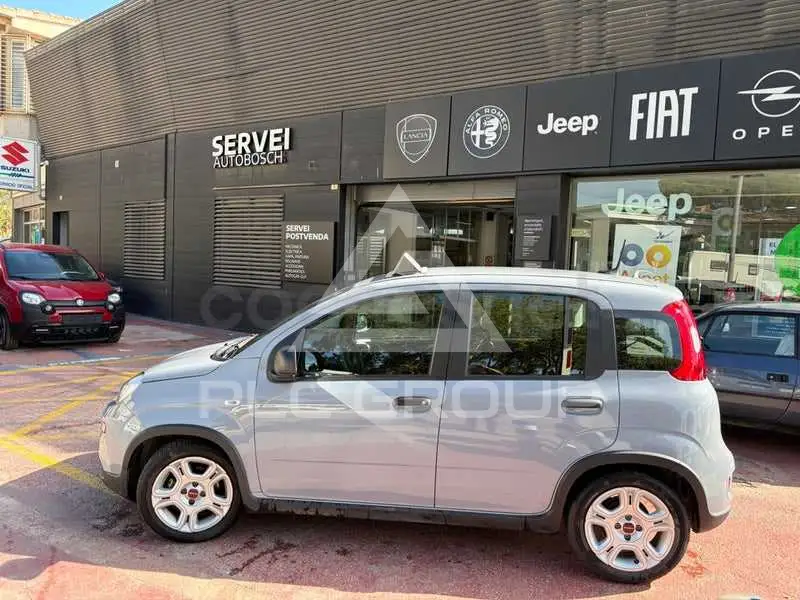 2023 Fiat Panda