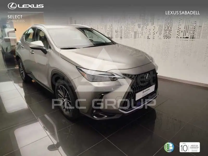 2023 Lexus NX