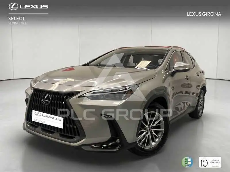 2023 Lexus NX