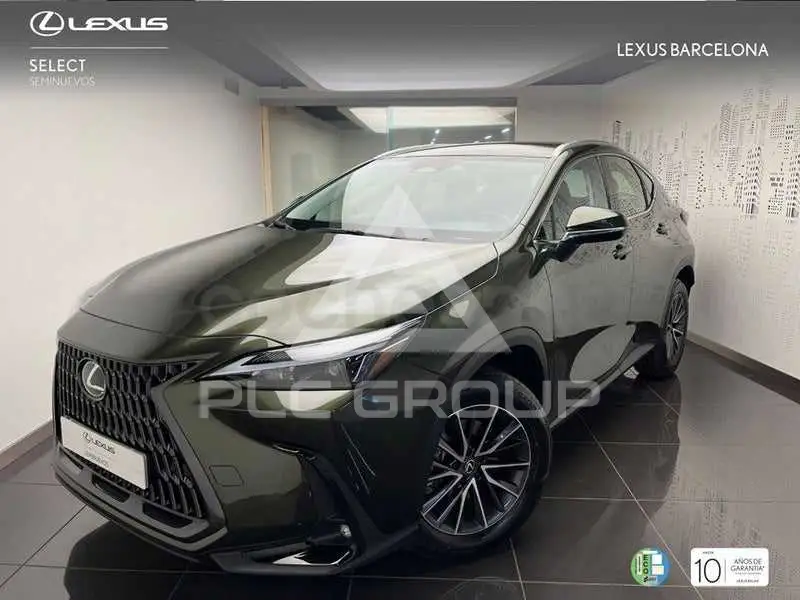 2023 Lexus NX