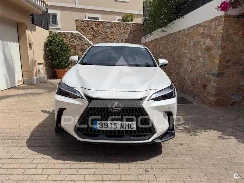 2023 Lexus NX