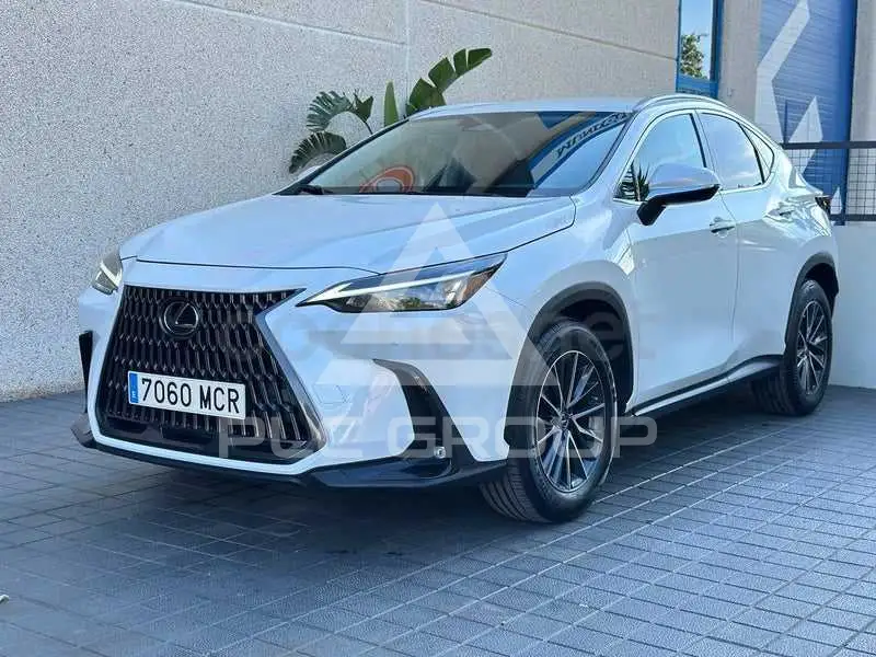 2023 Lexus NX