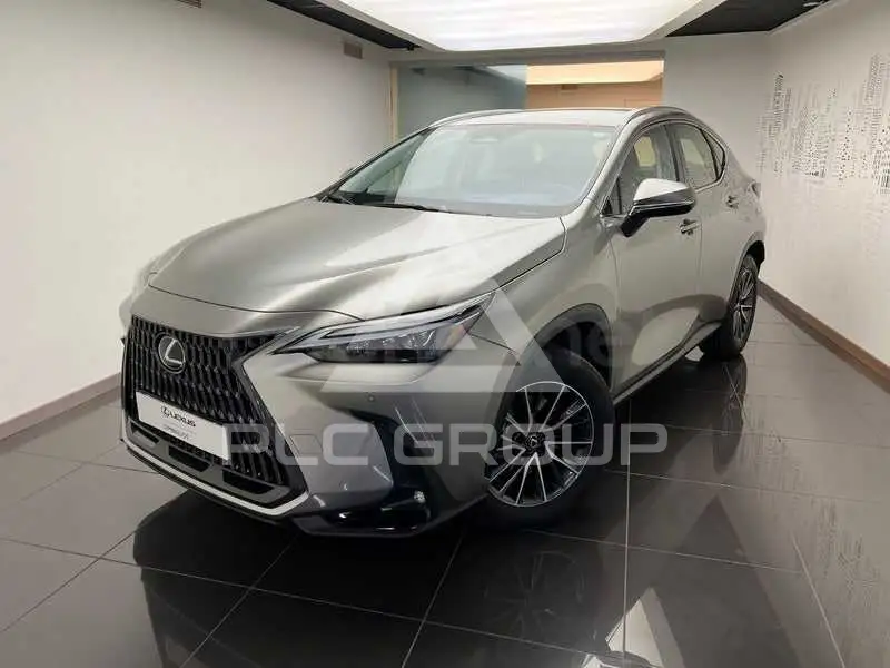 2023 Lexus NX